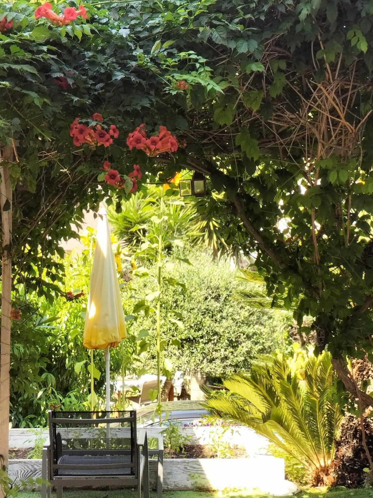 Villa Bellabe Ницца Экстерьер фото